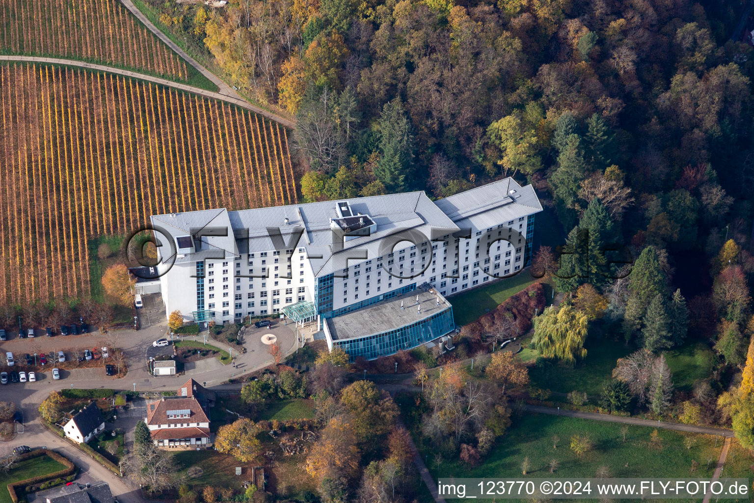 Vue aérienne de Terrain de la clinique de réadaptation Clinique de neurologie Edith-Stein-Fachklinik à Bad Bergzabern dans le département Rhénanie-Palatinat, Allemagne