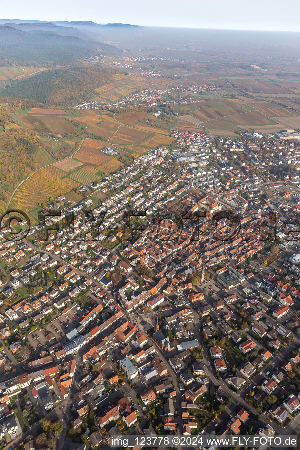 Bad Bergzabern dans le département Rhénanie-Palatinat, Allemagne du point de vue du drone