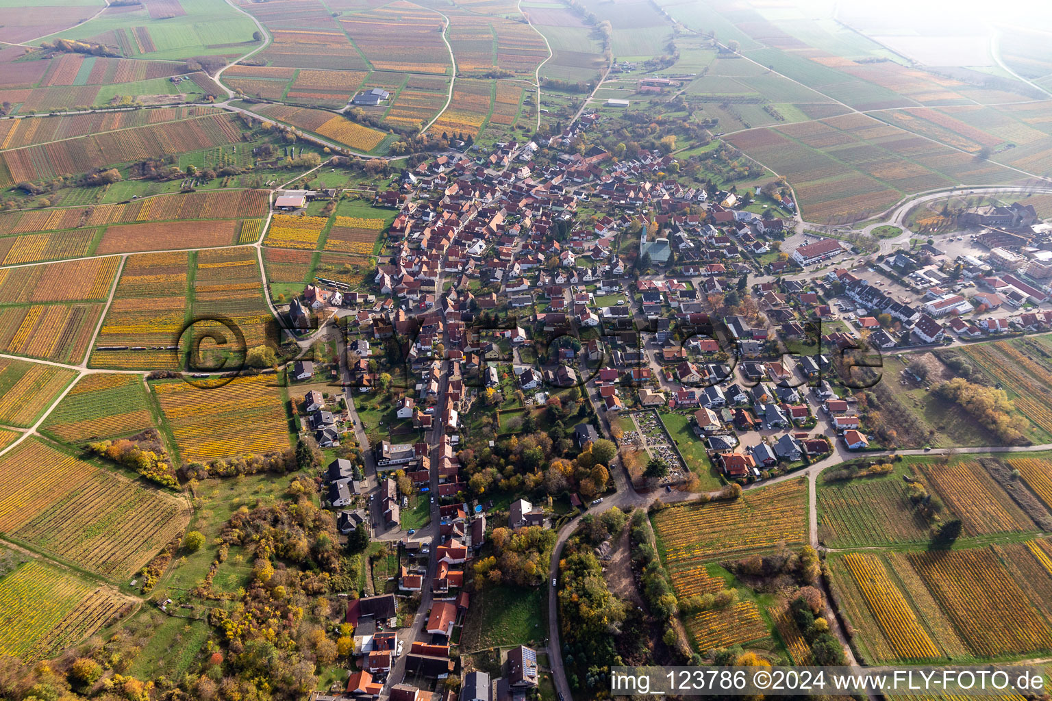 Vue d'oiseau de Quartier Schweigen in Schweigen-Rechtenbach dans le département Rhénanie-Palatinat, Allemagne