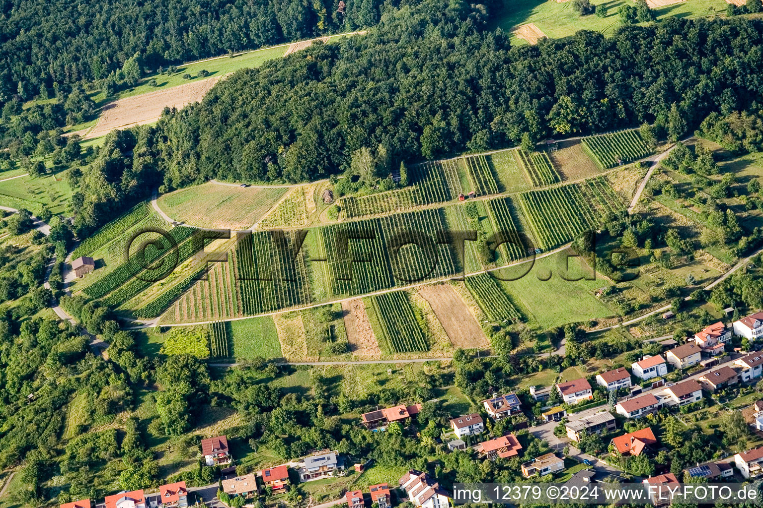 Vue aérienne de Vignobles à le quartier Dietlingen in Keltern dans le département Bade-Wurtemberg, Allemagne