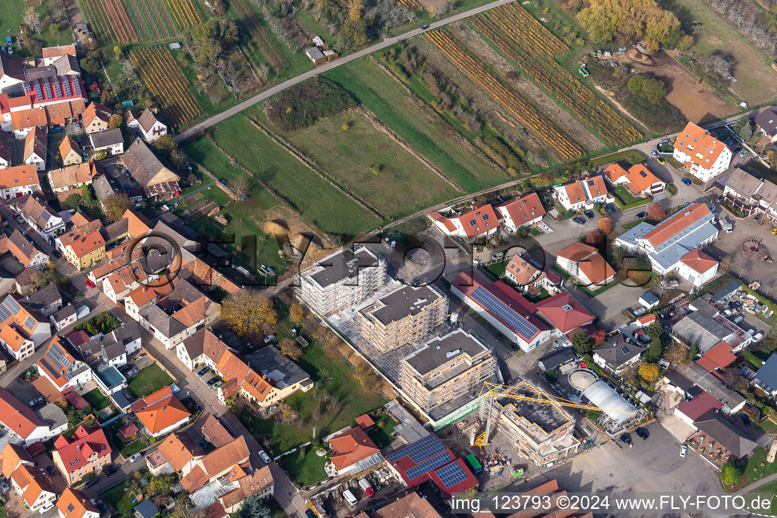 Vue aérienne de Sylvanerstr à le quartier Schweigen in Schweigen-Rechtenbach dans le département Rhénanie-Palatinat, Allemagne