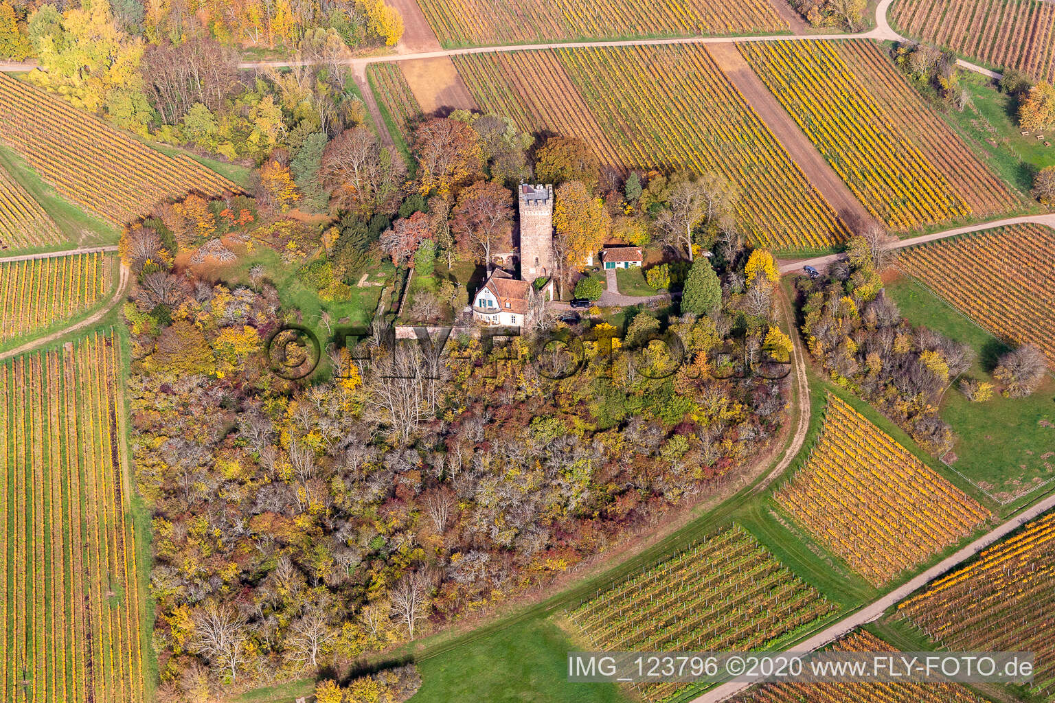 Vue aérienne de Vue aérienne d'automne des bâtiments et des parcs du Château Saint Paul sur le Sonneberg à Wissembourg dans le département Bas Rhin, France