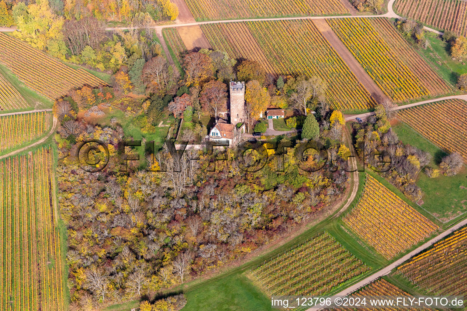 Vue aérienne de Vue aérienne d'automne des bâtiments et des parcs du Château Saint Paul sur le Sonneberg à Wissembourg dans le département Bas Rhin, France