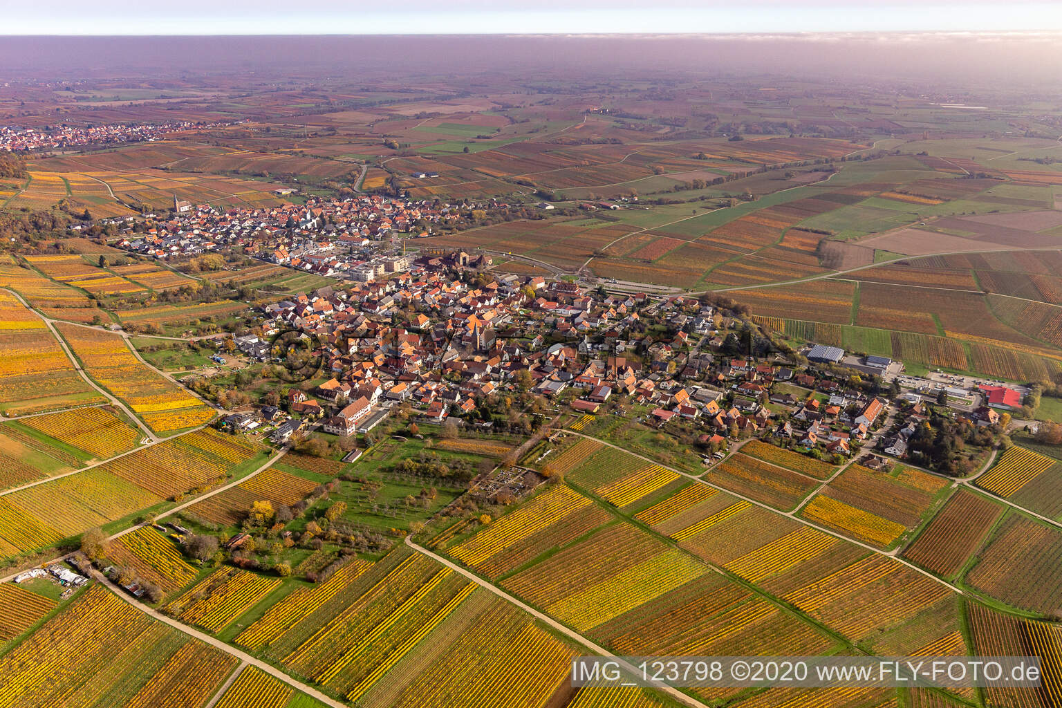 Vue aérienne de Végétation automnale décolorée vue du centre du village en bordure des vignes et des domaines viticoles du vignoble en Schweigen à le quartier Schweigen in Schweigen-Rechtenbach dans le département Rhénanie-Palatinat, Allemagne