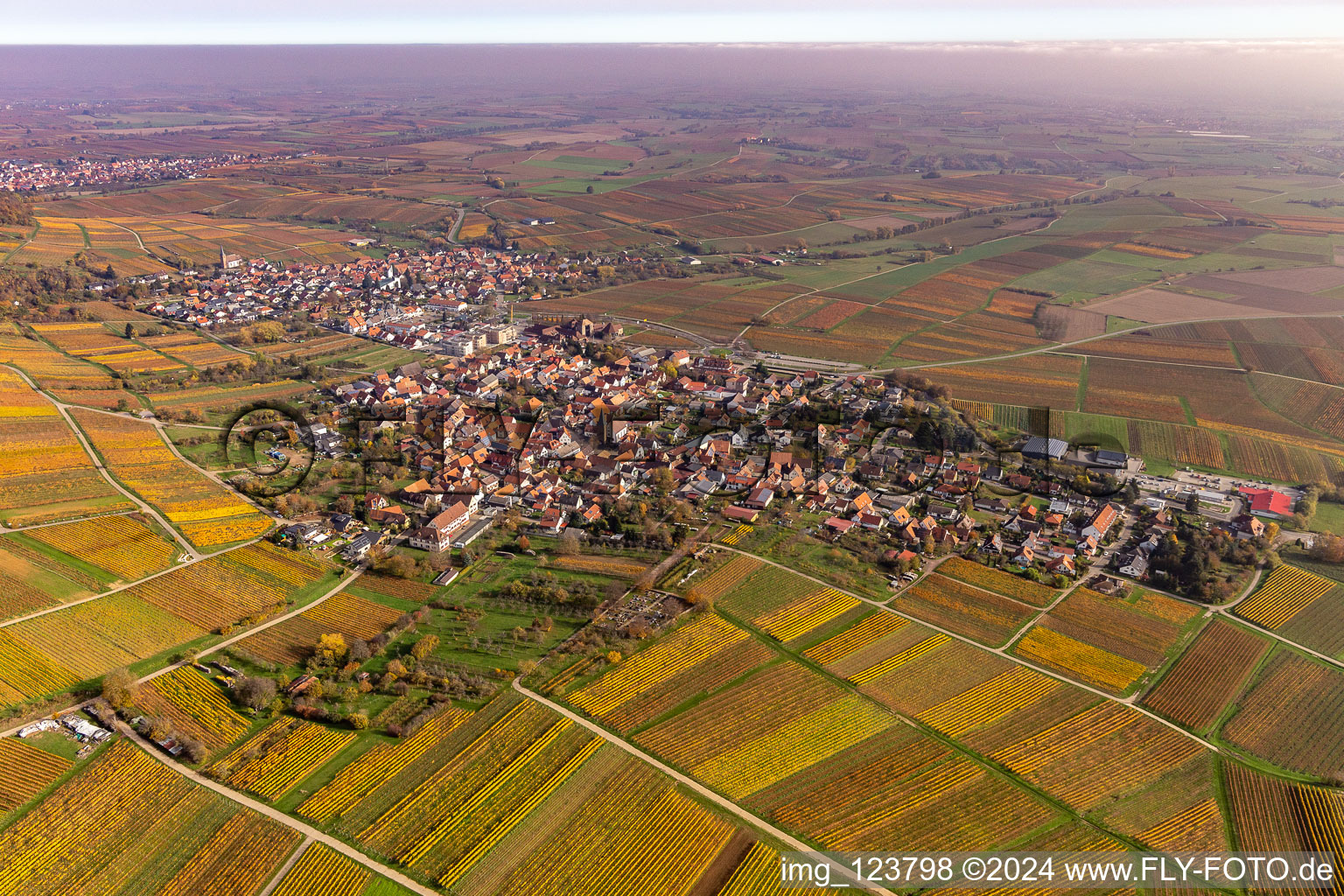 Vue aérienne de Végétation automnale décolorée vue du centre du village en bordure des vignes et des domaines viticoles du vignoble en Schweigen à le quartier Schweigen in Schweigen-Rechtenbach dans le département Rhénanie-Palatinat, Allemagne