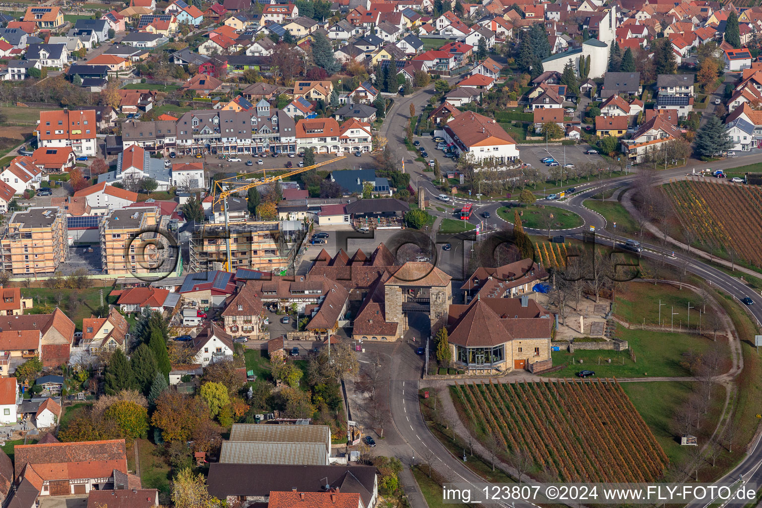 Vue aérienne de Porte du vin allemande à le quartier Schweigen in Schweigen-Rechtenbach dans le département Rhénanie-Palatinat, Allemagne