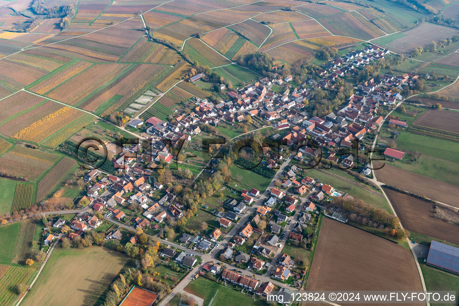 Dierbach dans le département Rhénanie-Palatinat, Allemagne vue du ciel