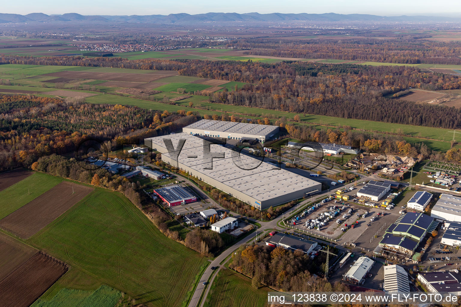 Vue aérienne de Zone commerciale de Horst et création d'une entreprise avec Friedrich random GmbH & Co. KG Internationale Spedition, Magna Outsides, STS Group et Thermo Fisher à le quartier Minderslachen in Kandel dans le département Rhénanie-Palatinat, Allemagne