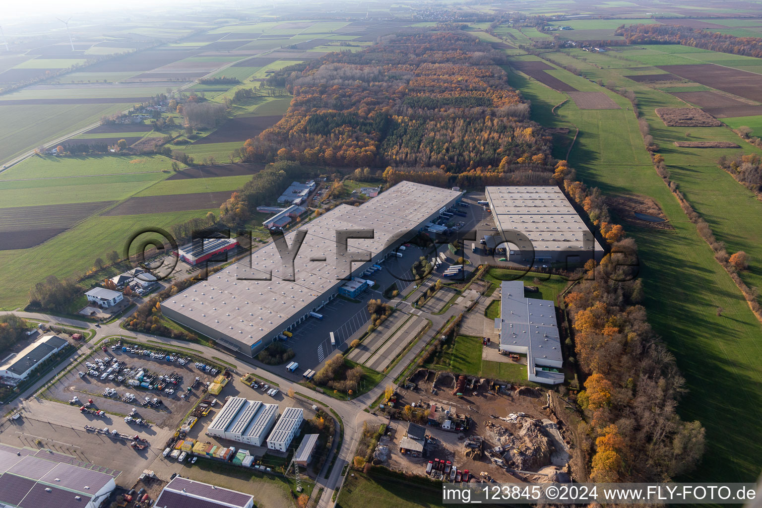 Photographie aérienne de Zone commerciale de Horst et création d'une entreprise avec Friedrich random GmbH & Co. KG Internationale Spedition, Magna Outsides, STS Group et Thermo Fisher à le quartier Minderslachen in Kandel dans le département Rhénanie-Palatinat, Allemagne