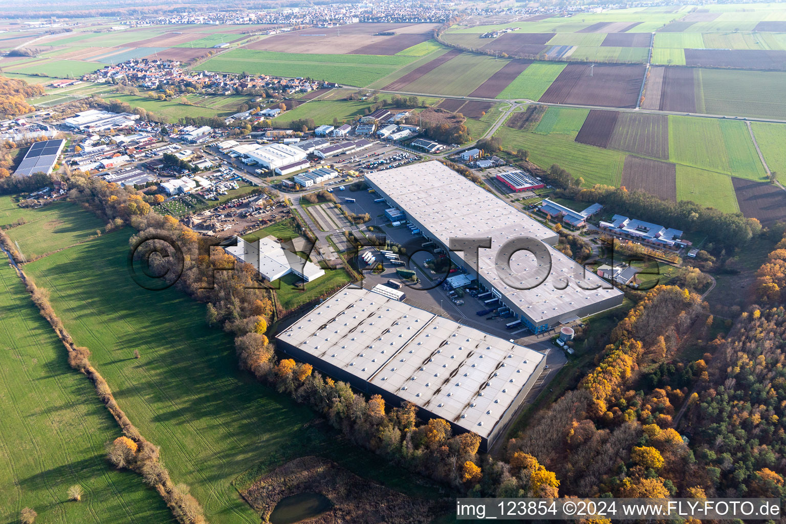 Zone commerciale Horst avec Magna Interiors, Random Logistics, STS Group et Thermo Fisher à le quartier Minderslachen in Kandel dans le département Rhénanie-Palatinat, Allemagne vu d'un drone