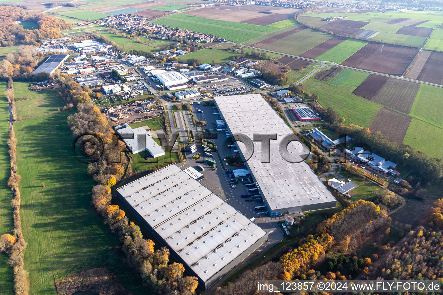 Vue oblique de Zone commerciale de Horst et création d'une entreprise avec Friedrich random GmbH & Co. KG Internationale Spedition, Magna Outsides, STS Group et Thermo Fisher à le quartier Minderslachen in Kandel dans le département Rhénanie-Palatinat, Allemagne