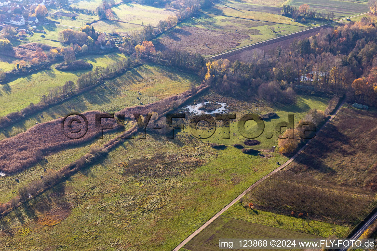 Billigheimer Bruch, Erlenbachtal entre Barbelroth, Hergersweiler et Winden à le quartier Mühlhofen in Billigheim-Ingenheim dans le département Rhénanie-Palatinat, Allemagne d'en haut