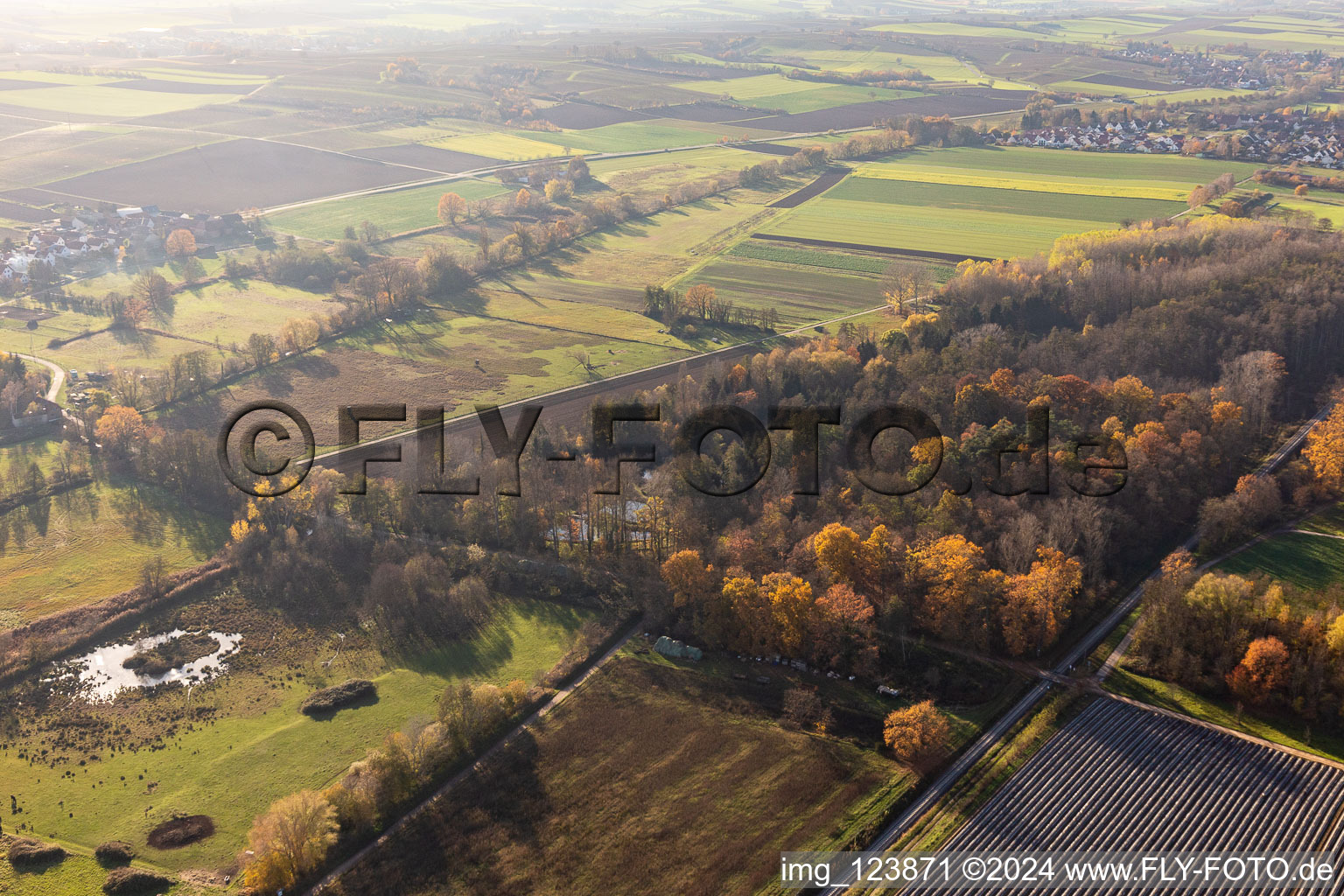 Billigheimer Bruch, Erlenbachtal entre Barbelroth, Hergersweiler et Winden à le quartier Mühlhofen in Billigheim-Ingenheim dans le département Rhénanie-Palatinat, Allemagne vue d'en haut