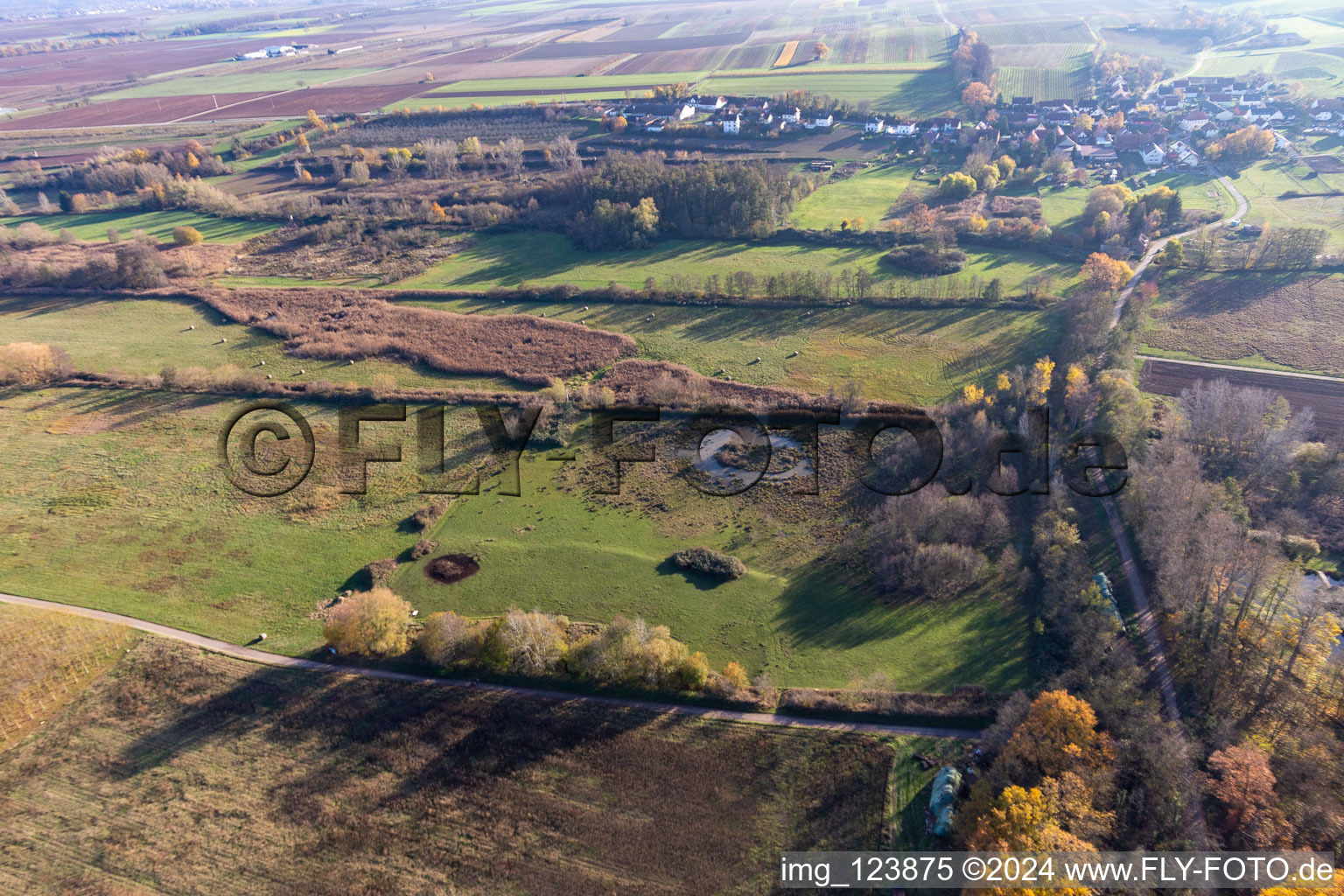 Vue aérienne de Billigheimer Bruch, Erlenbachtal entre Barbelroth, Hergersweiler et Winden à le quartier Ingenheim in Billigheim-Ingenheim dans le département Rhénanie-Palatinat, Allemagne