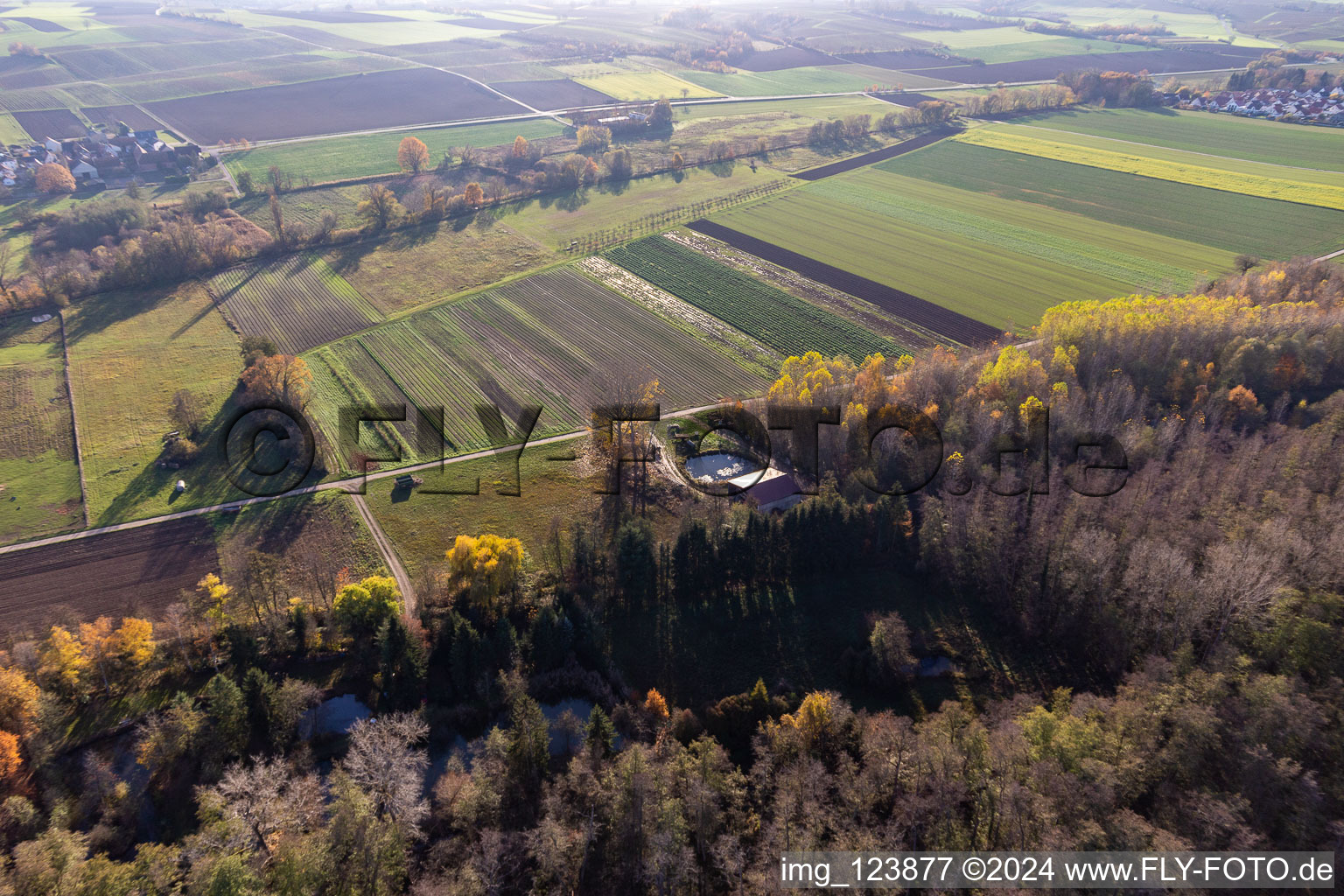 Vue aérienne de Billigheimer Bruch, Erlenbachtal entre Barbelroth, Hergersweiler et Winden à Barbelroth dans le département Rhénanie-Palatinat, Allemagne