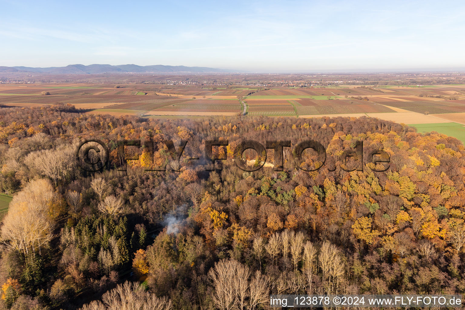 Vue aérienne de Billigheimer Bruch, Erlenbachtal entre Barbelroth, Hergersweiler et Winden à Barbelroth dans le département Rhénanie-Palatinat, Allemagne