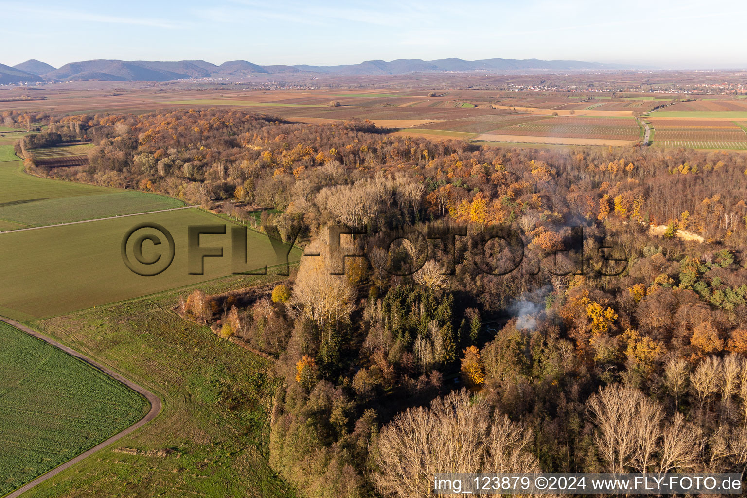 Photographie aérienne de Billigheimer Bruch, Erlenbachtal entre Barbelroth, Hergersweiler et Winden à Barbelroth dans le département Rhénanie-Palatinat, Allemagne