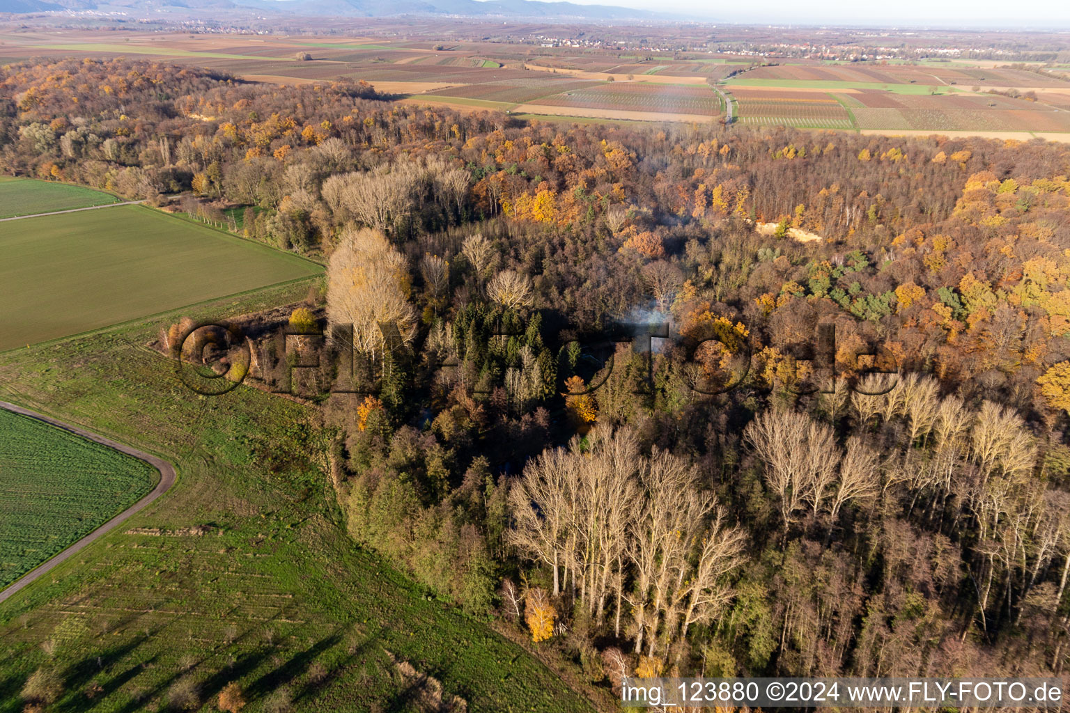 Vue oblique de Billigheimer Bruch, Erlenbachtal entre Barbelroth, Hergersweiler et Winden à Barbelroth dans le département Rhénanie-Palatinat, Allemagne