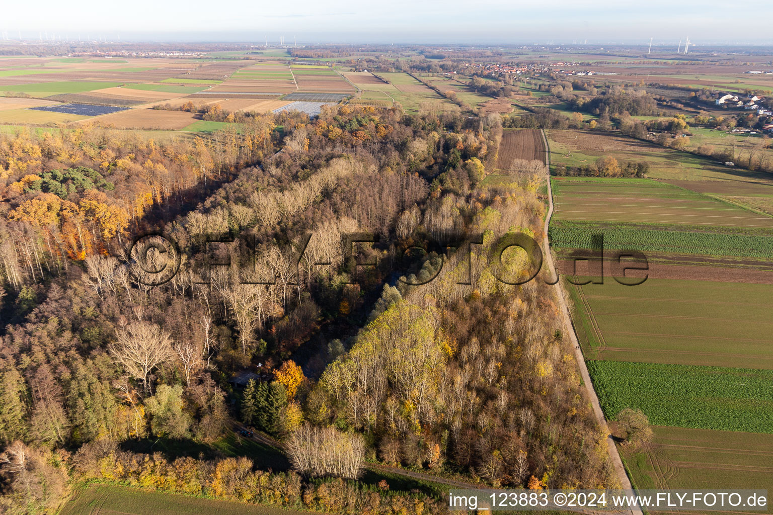 Billigheimer Bruch, Erlenbachtal entre Barbelroth, Hergersweiler et Winden à Barbelroth dans le département Rhénanie-Palatinat, Allemagne hors des airs