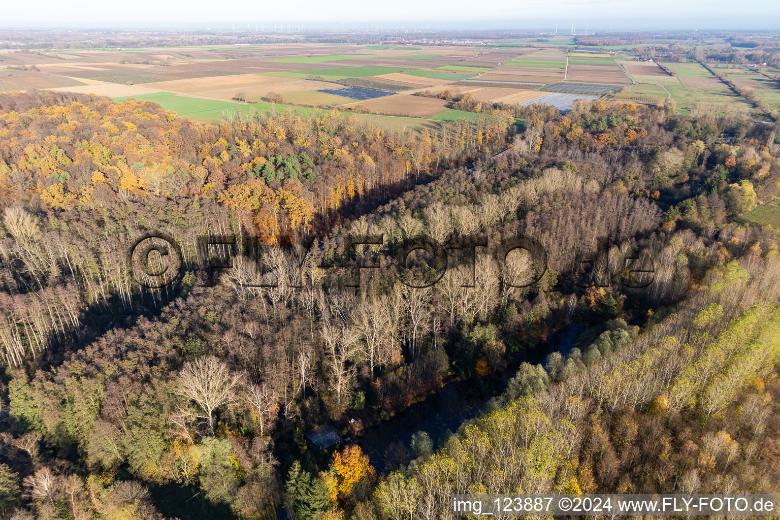 Billigheimer Bruch, Erlenbachtal entre Barbelroth, Hergersweiler et Winden à Barbelroth dans le département Rhénanie-Palatinat, Allemagne vue du ciel