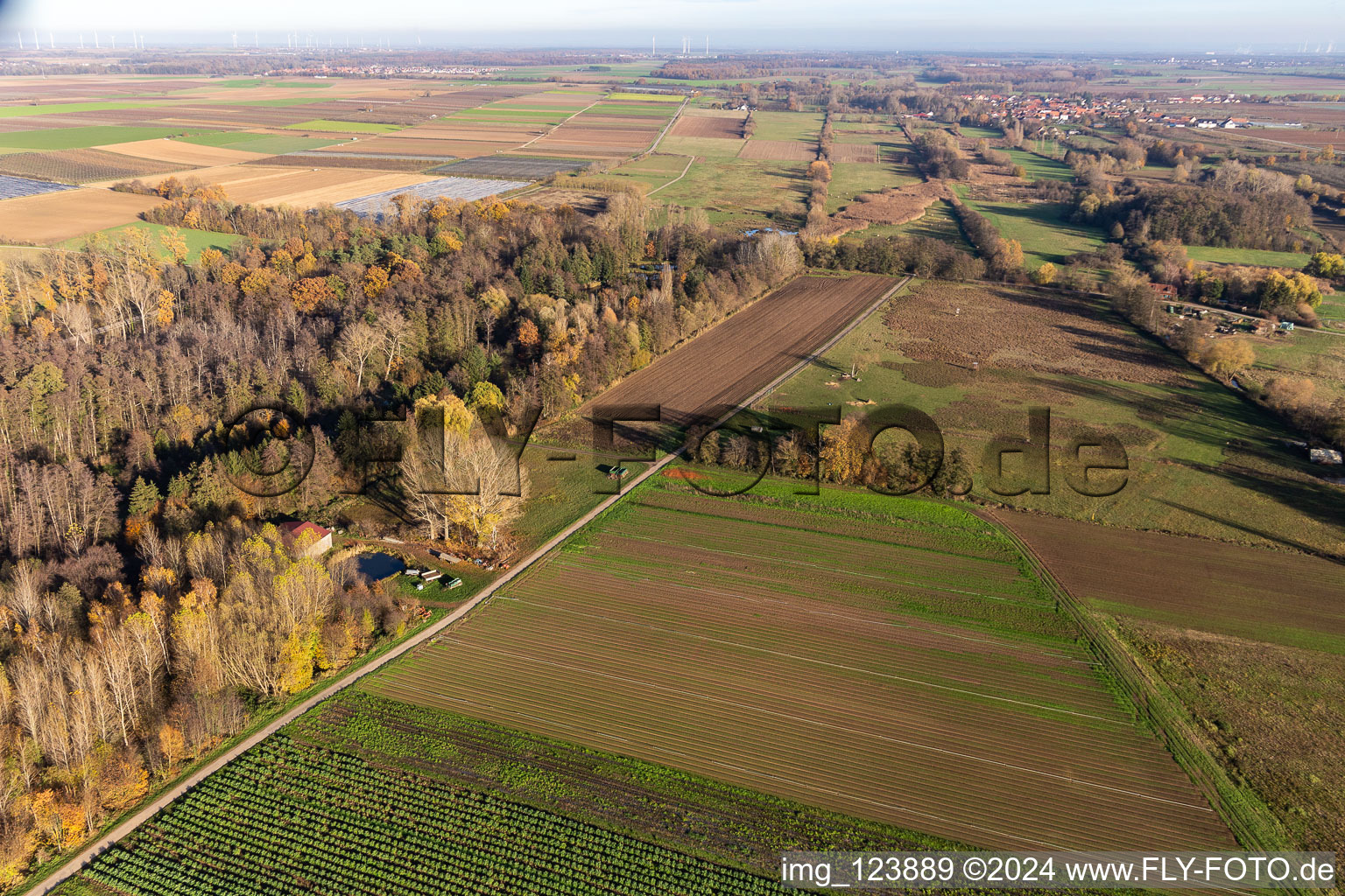 Enregistrement par drone de Billigheimer Bruch, Erlenbachtal entre Barbelroth, Hergersweiler et Winden à Barbelroth dans le département Rhénanie-Palatinat, Allemagne