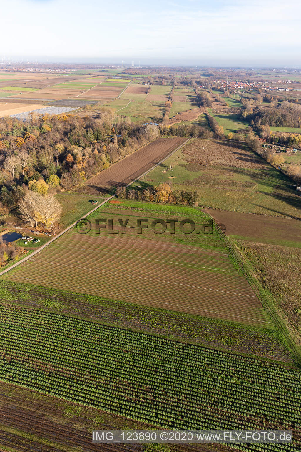 Image drone de Billigheimer Bruch, Erlenbachtal entre Barbelroth, Hergersweiler et Winden à Barbelroth dans le département Rhénanie-Palatinat, Allemagne
