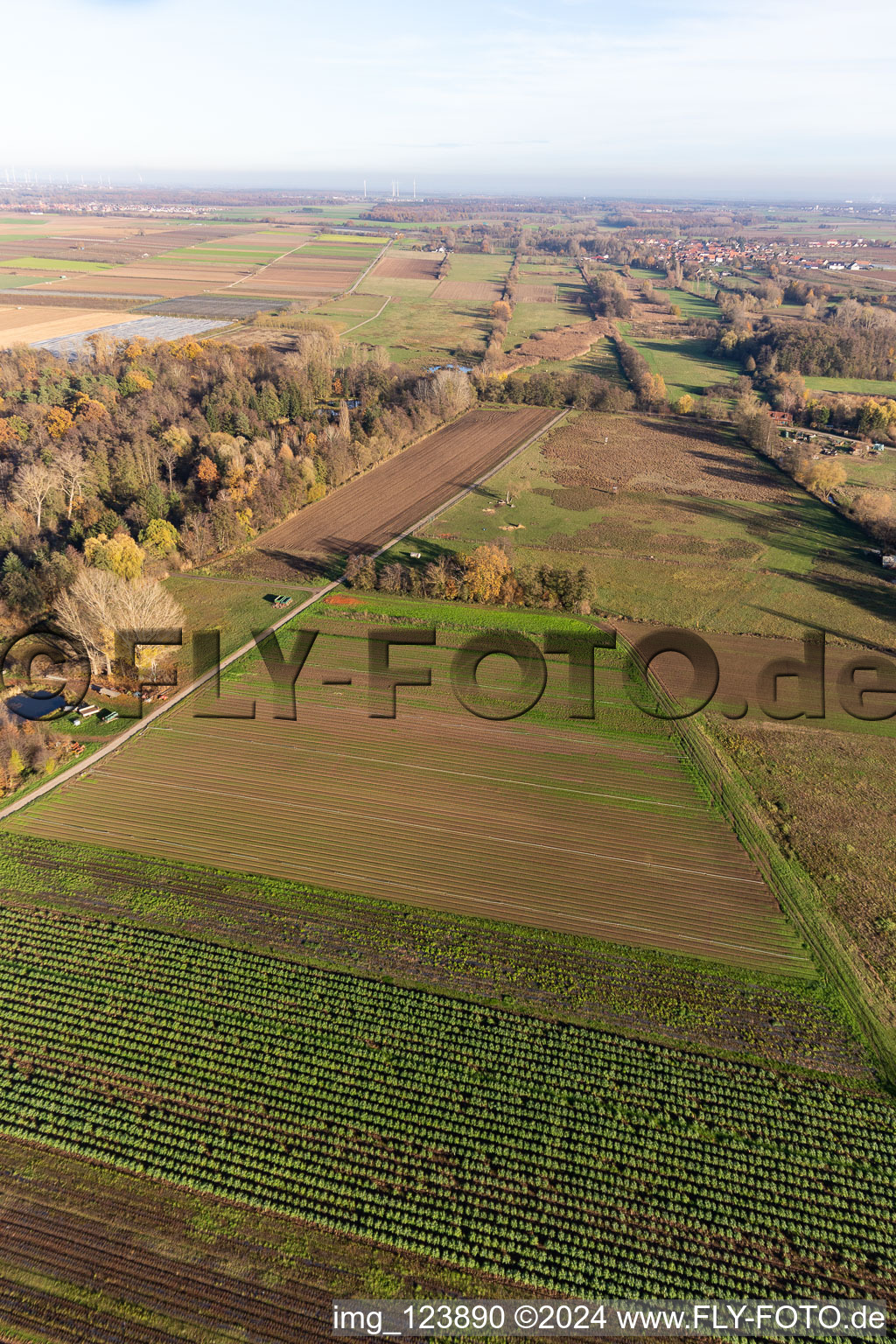 Image drone de Billigheimer Bruch, Erlenbachtal entre Barbelroth, Hergersweiler et Winden à Barbelroth dans le département Rhénanie-Palatinat, Allemagne