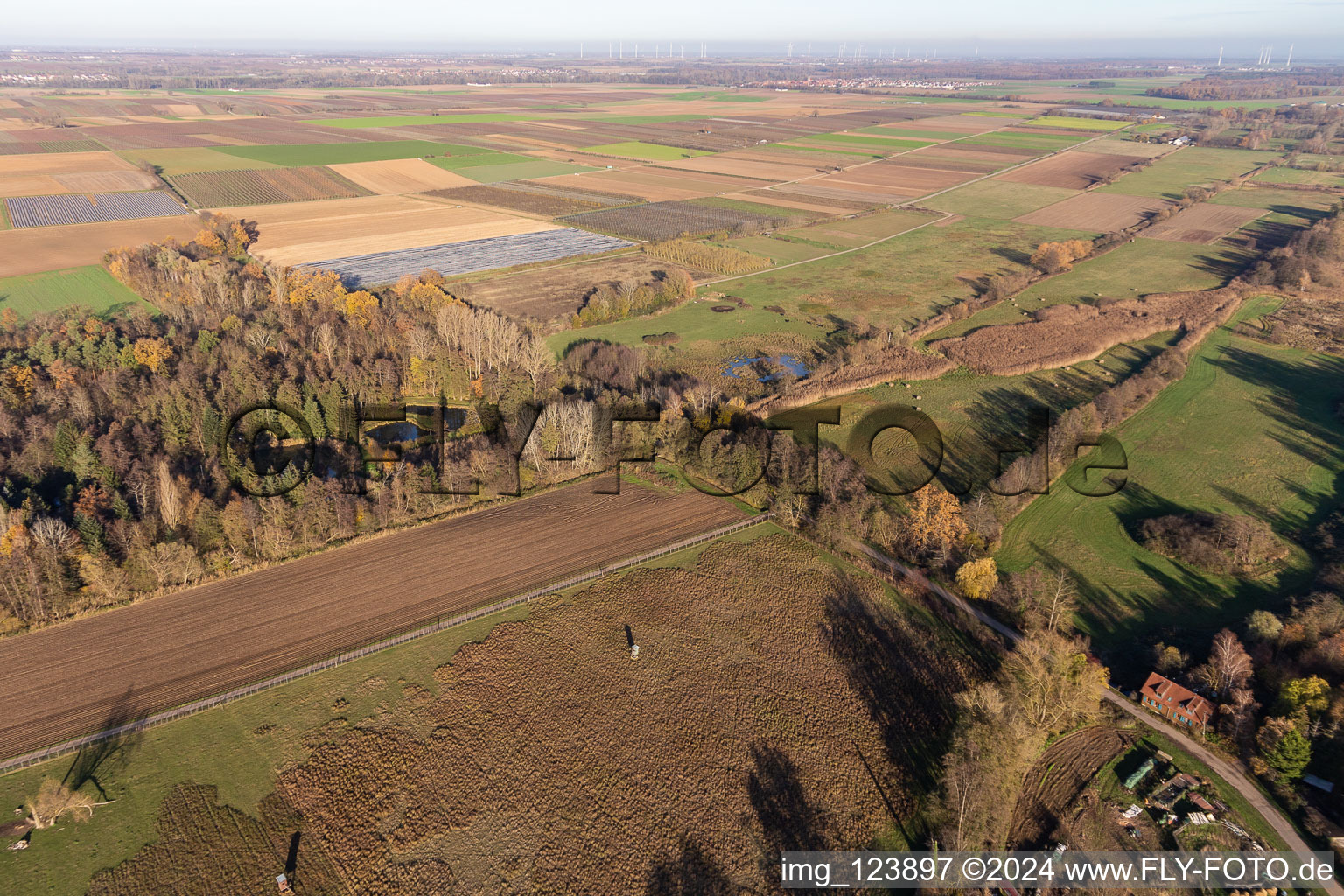 Billigheimer Bruch, Erlenbachtal entre Barbelroth, Hergersweiler et Winden à Hergersweiler dans le département Rhénanie-Palatinat, Allemagne d'un drone