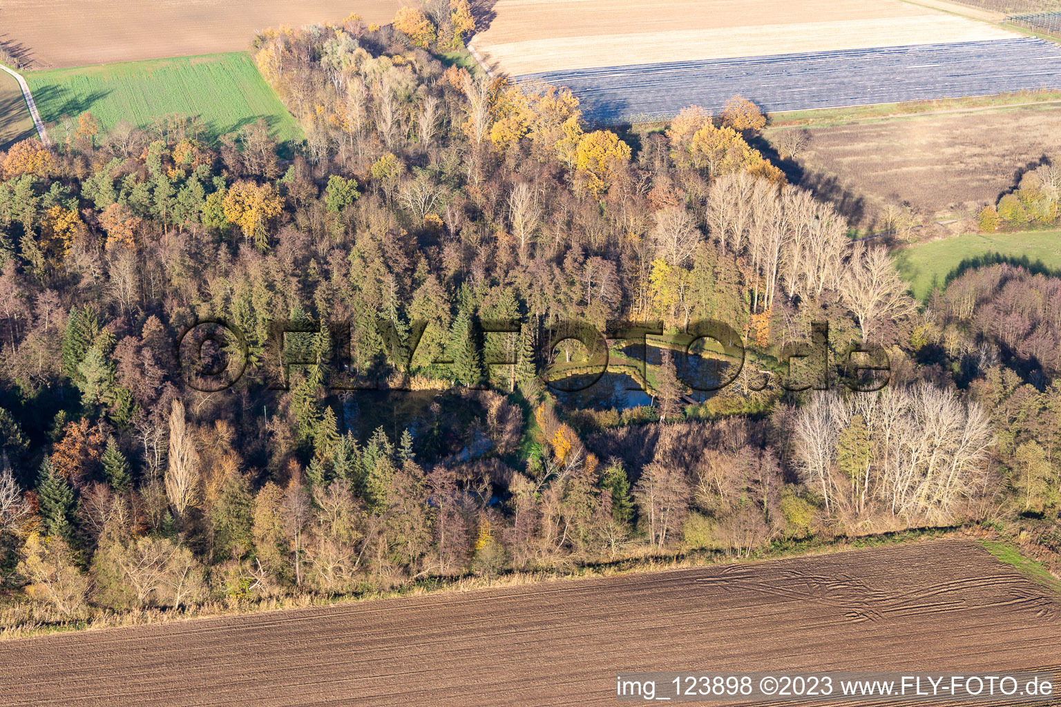 Billigheimer Bruch, Erlenbachtal entre Barbelroth, Hergersweiler et Winden à Barbelroth dans le département Rhénanie-Palatinat, Allemagne vu d'un drone