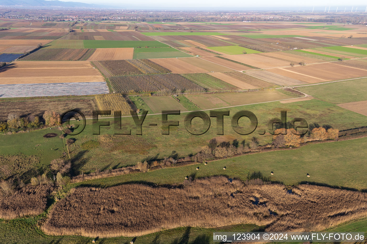 Billigheimer Bruch, Erlenbachtal entre Barbelroth, Hergersweiler et Winden à le quartier Mühlhofen in Billigheim-Ingenheim dans le département Rhénanie-Palatinat, Allemagne vu d'un drone