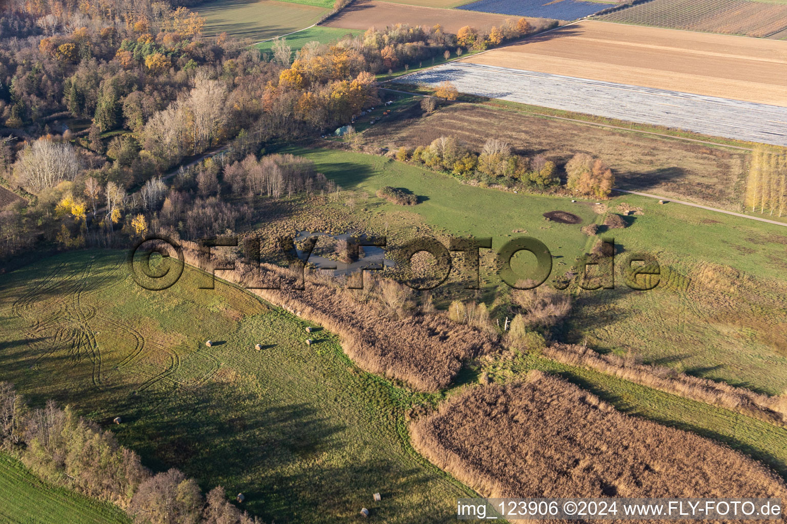 Photographie aérienne de Billigheimer Bruch, Erlenbachtal entre Barbelroth, Hergersweiler et Winden à le quartier Mühlhofen in Billigheim-Ingenheim dans le département Rhénanie-Palatinat, Allemagne