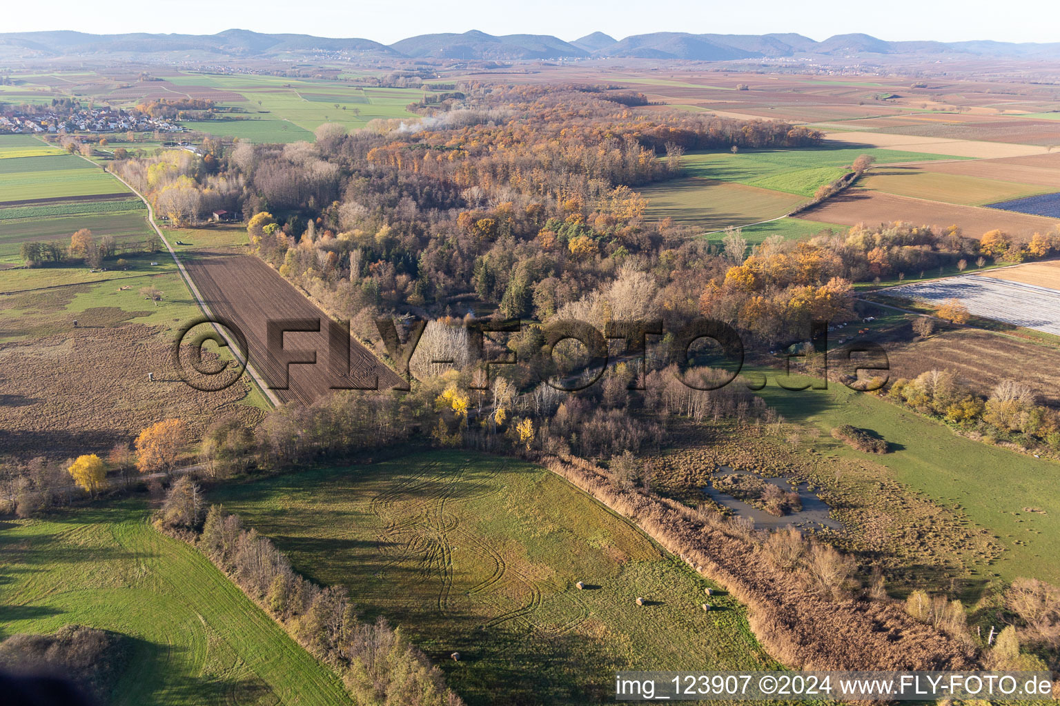 Vue oblique de Billigheimer Bruch, Erlenbachtal entre Barbelroth, Hergersweiler et Winden à le quartier Mühlhofen in Billigheim-Ingenheim dans le département Rhénanie-Palatinat, Allemagne