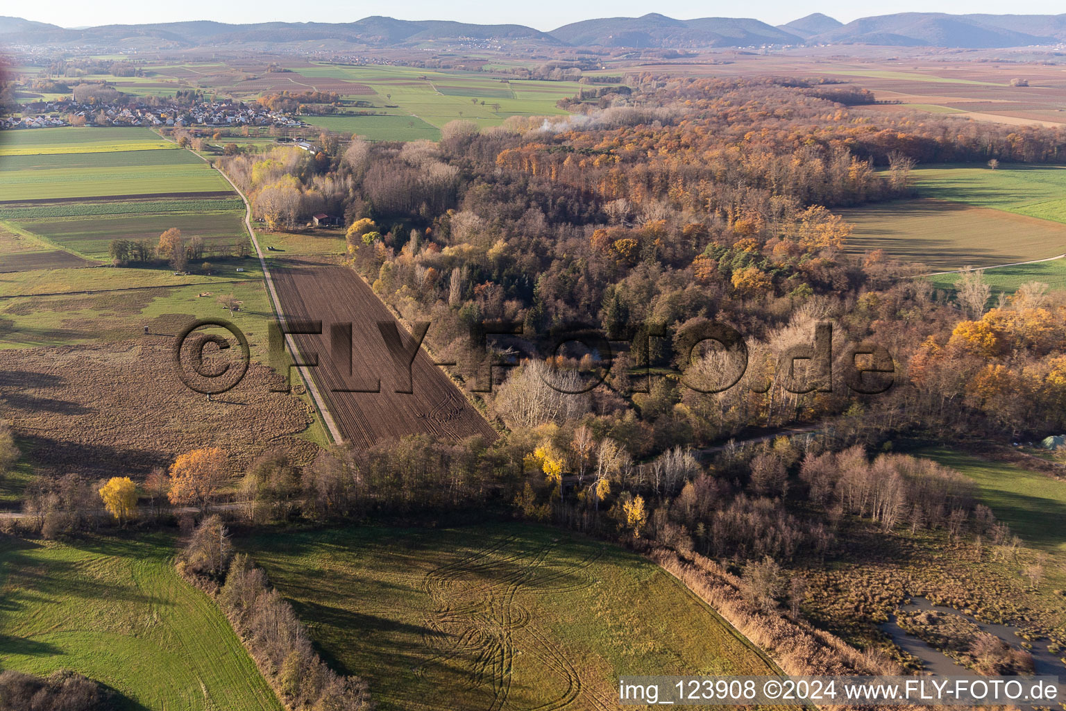 Billigheimer Bruch, Erlenbachtal entre Barbelroth, Hergersweiler et Winden à le quartier Mühlhofen in Billigheim-Ingenheim dans le département Rhénanie-Palatinat, Allemagne d'en haut