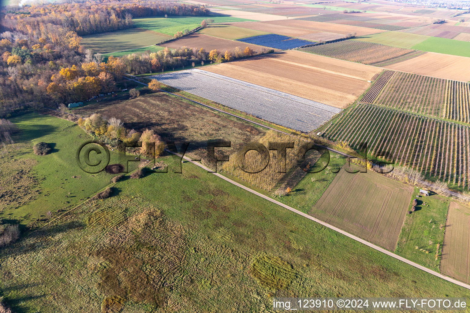 Billigheimer Bruch, Erlenbachtal entre Barbelroth, Hergersweiler et Winden à le quartier Mühlhofen in Billigheim-Ingenheim dans le département Rhénanie-Palatinat, Allemagne vue d'en haut