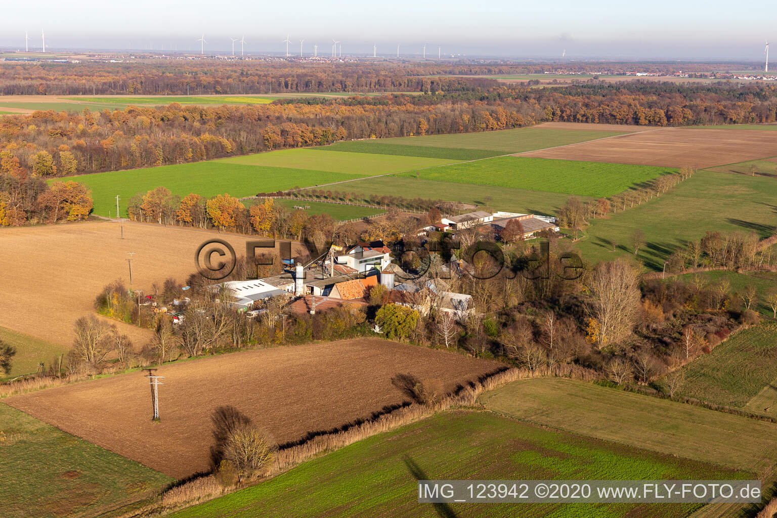 Vue aérienne de Ranch Palatin à Steinweiler dans le département Rhénanie-Palatinat, Allemagne