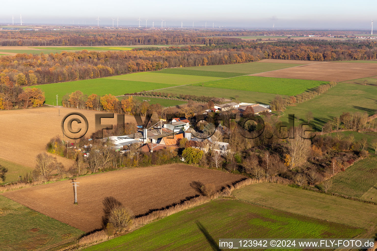 Vue aérienne de Ranch Palatin à Steinweiler dans le département Rhénanie-Palatinat, Allemagne