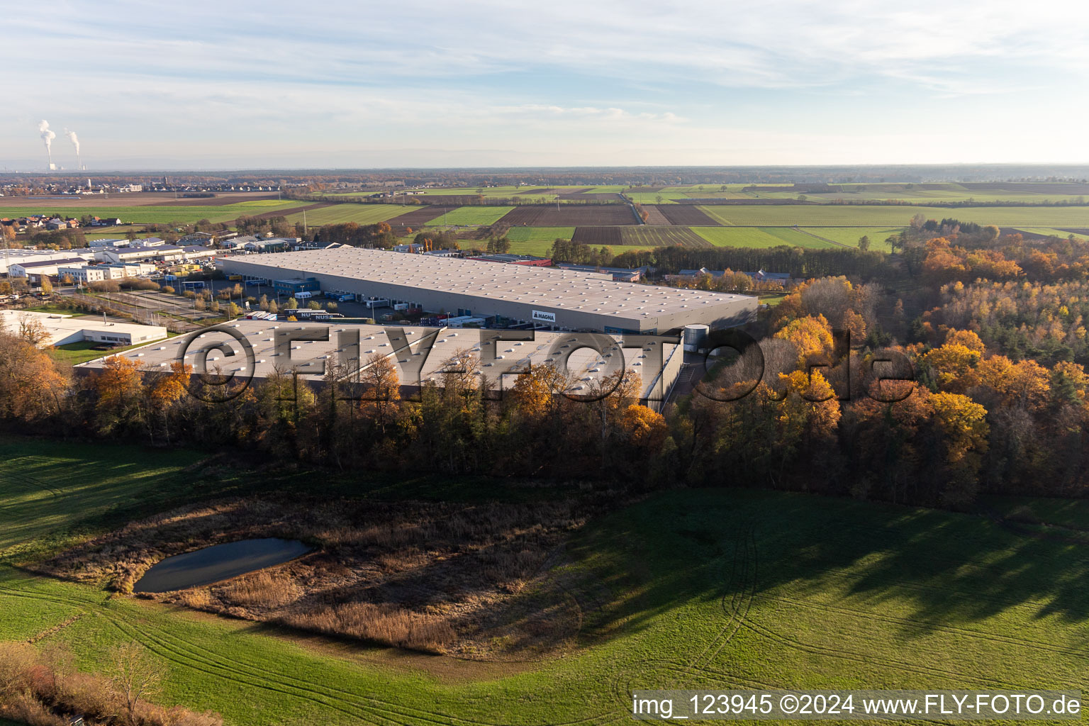 Zone commerciale Horst avec Magna Interiors, Random Logistics, STS Group et Thermo Fisher à le quartier Minderslachen in Kandel dans le département Rhénanie-Palatinat, Allemagne hors des airs