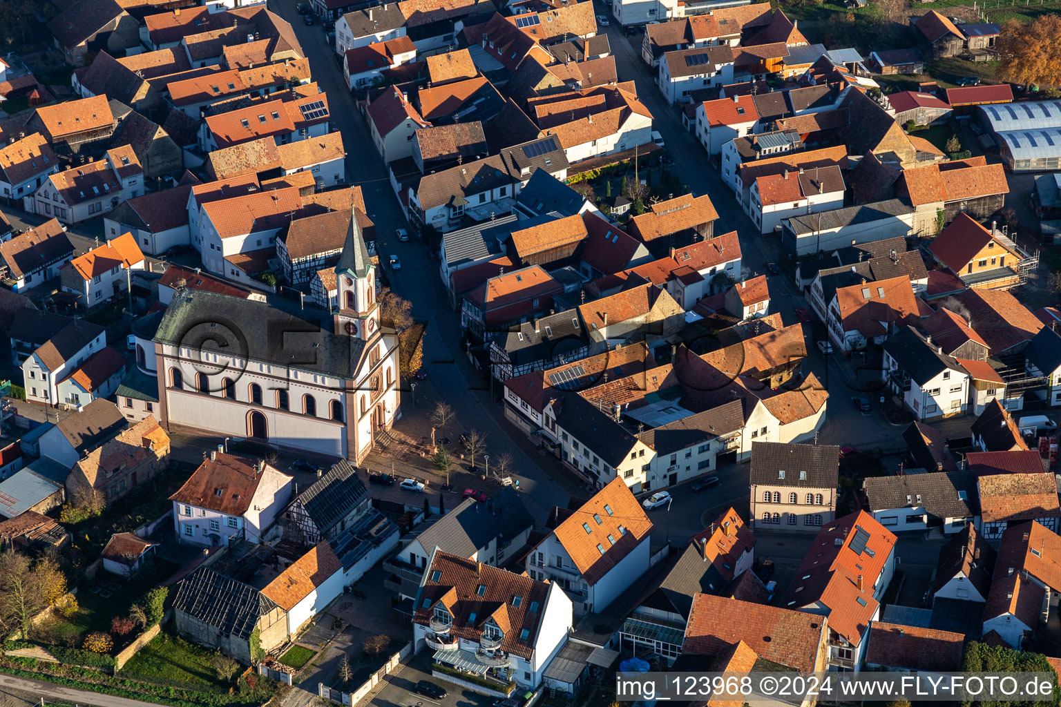 Neupotz dans le département Rhénanie-Palatinat, Allemagne depuis l'avion