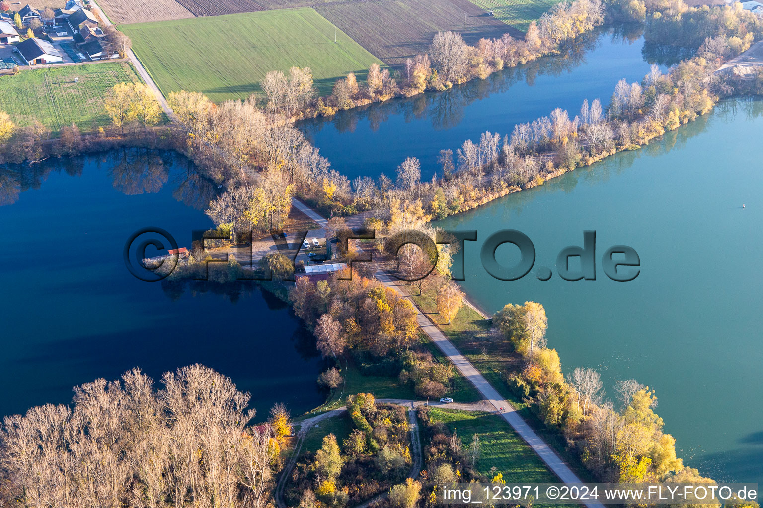 Vue aérienne de Maison de pêche sur le Vieux Rhin à Neupotz dans le département Rhénanie-Palatinat, Allemagne