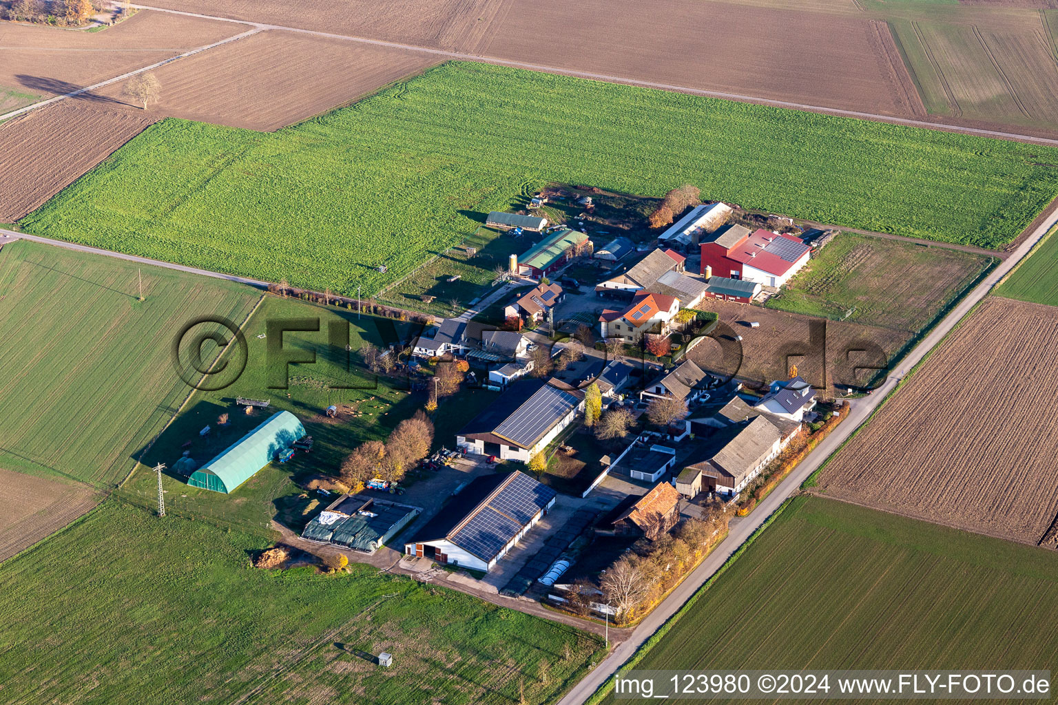 Vue aérienne de Burgerhof à Neupotz dans le département Rhénanie-Palatinat, Allemagne