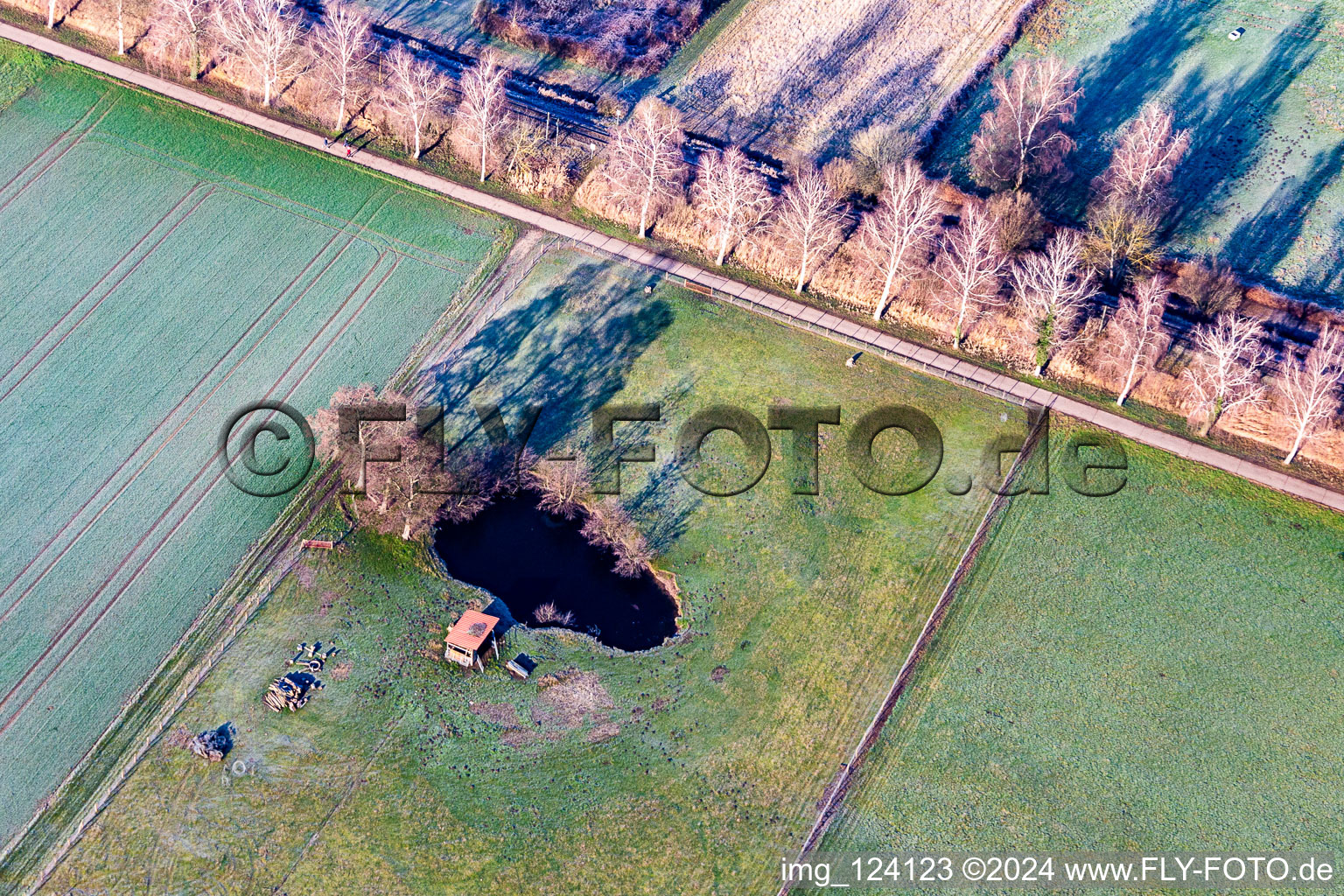 Vue aérienne de Biotope dans la plaine du Bruchbach à Steinfeld dans le département Rhénanie-Palatinat, Allemagne