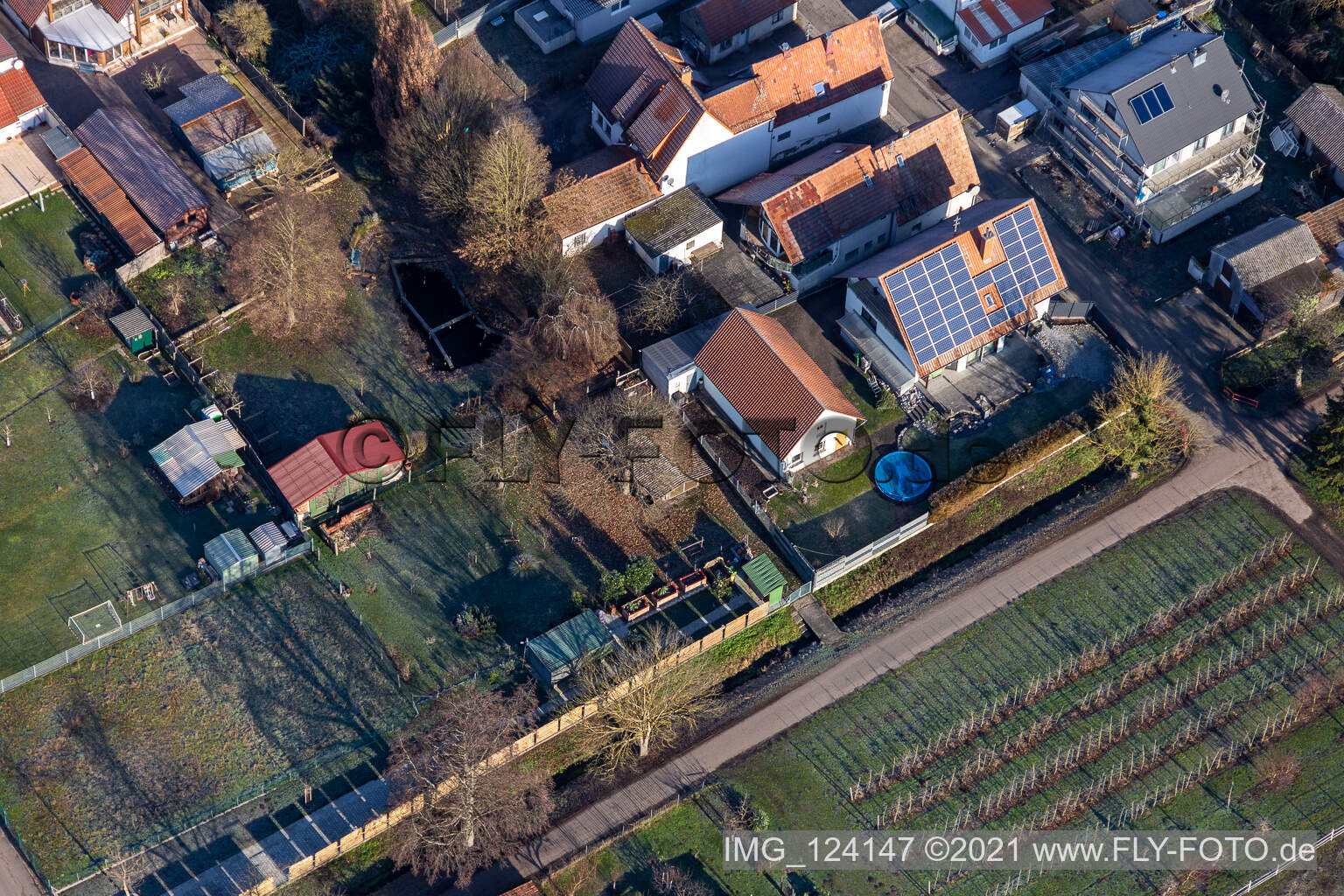 Vue aérienne de Chemin de Bach à Freckenfeld dans le département Rhénanie-Palatinat, Allemagne