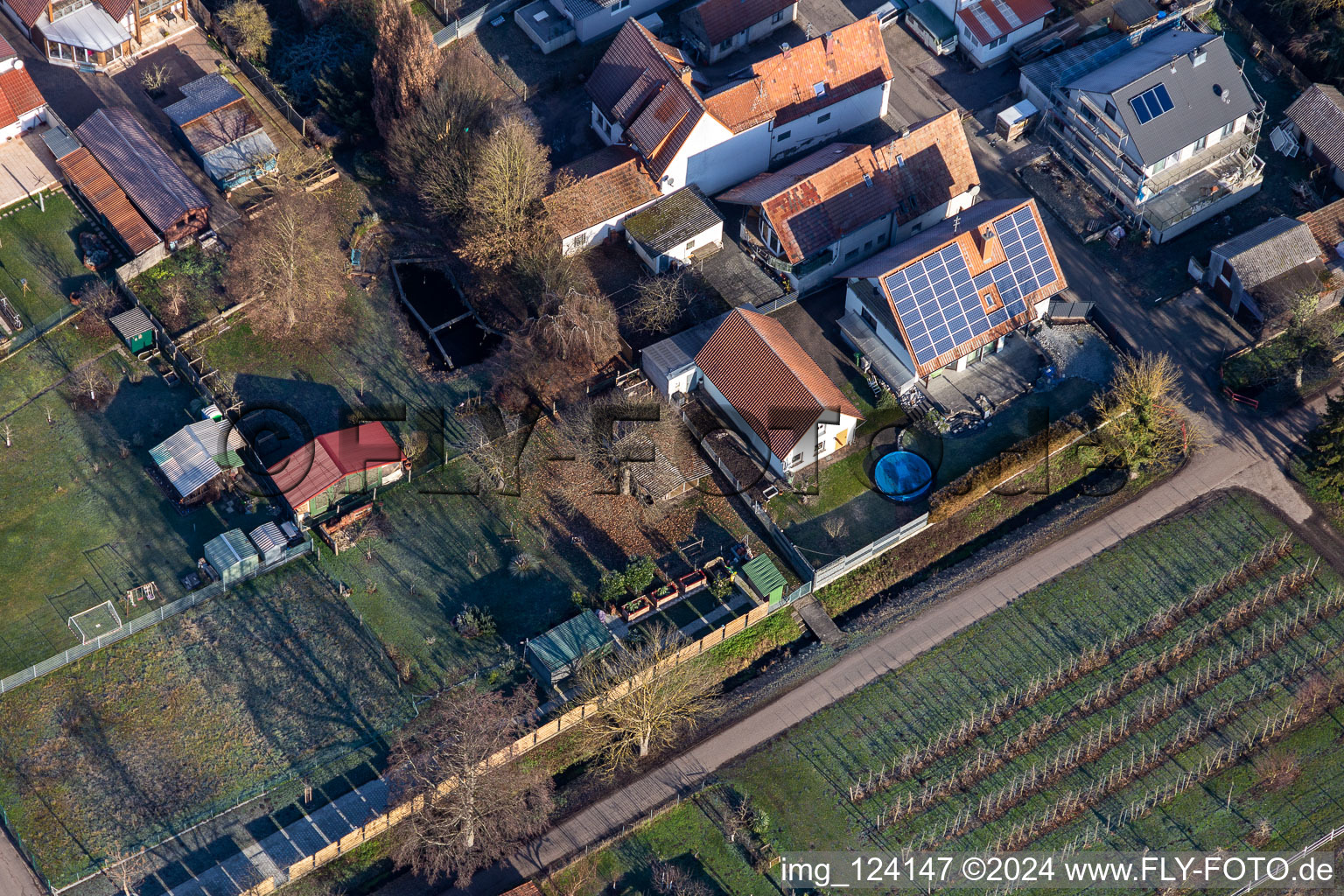 Vue aérienne de Chemin de Bach à Freckenfeld dans le département Rhénanie-Palatinat, Allemagne