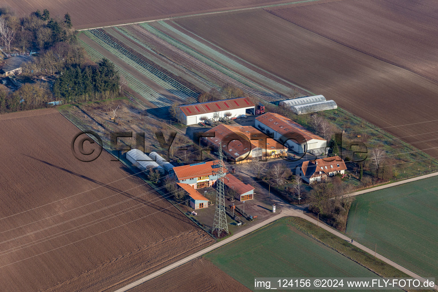 Vue aérienne de Magasin de la ferme Schosberghof à Minfeld dans le département Rhénanie-Palatinat, Allemagne