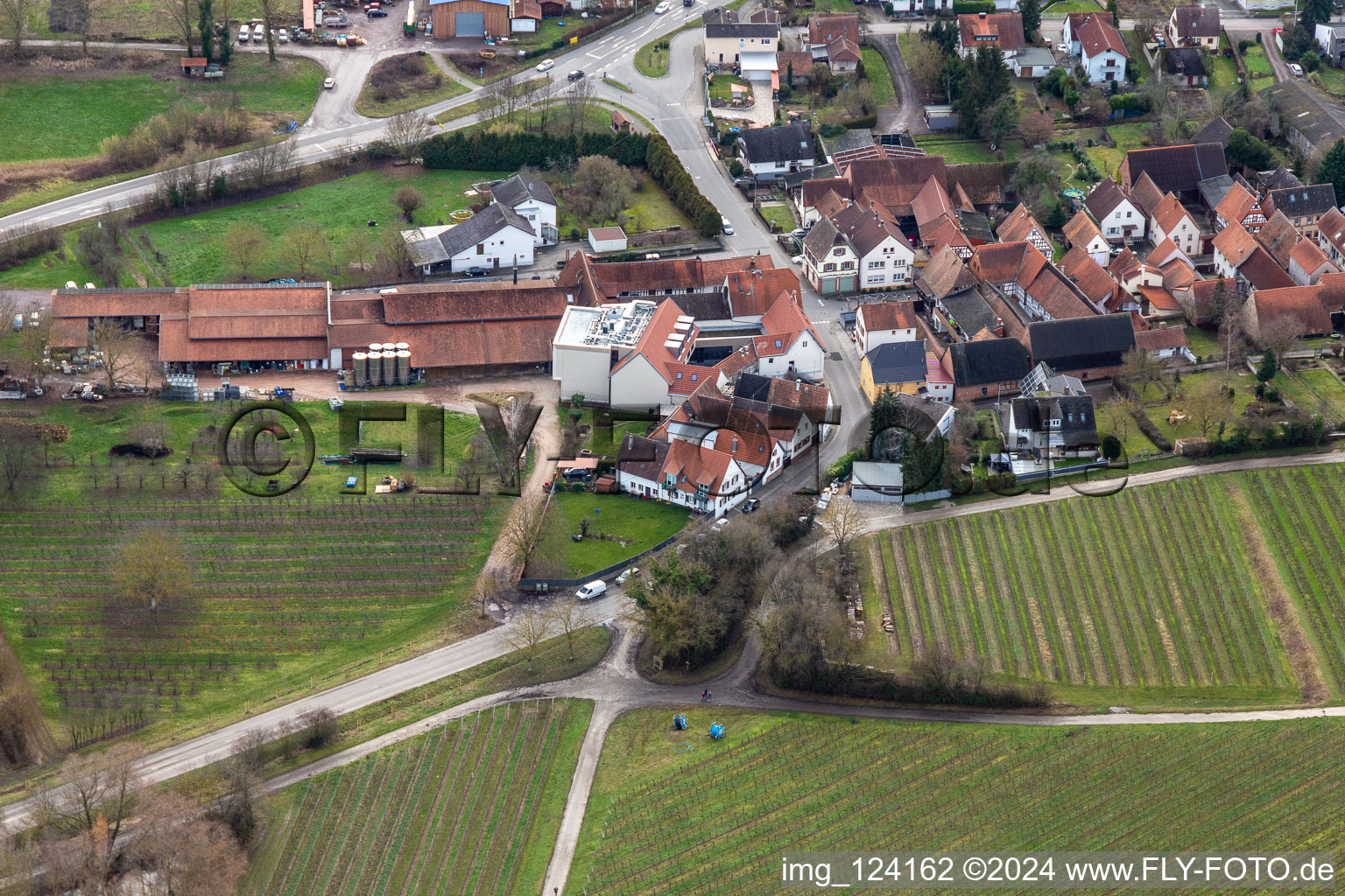 Vue aérienne de Domaine viticole Fritz Walter à Niederhorbach dans le département Rhénanie-Palatinat, Allemagne