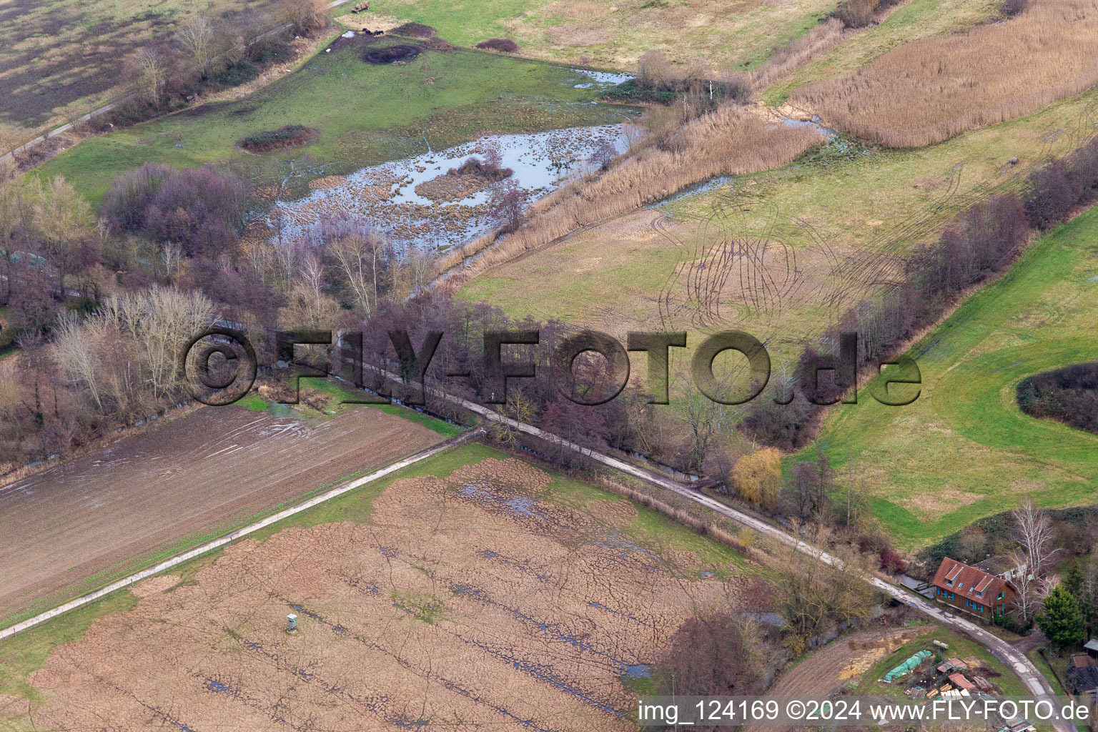 Vue aérienne de Billigheimer Bruch, biotope inondé au Flutgraben/Erlenbach à Barbelroth dans le département Rhénanie-Palatinat, Allemagne