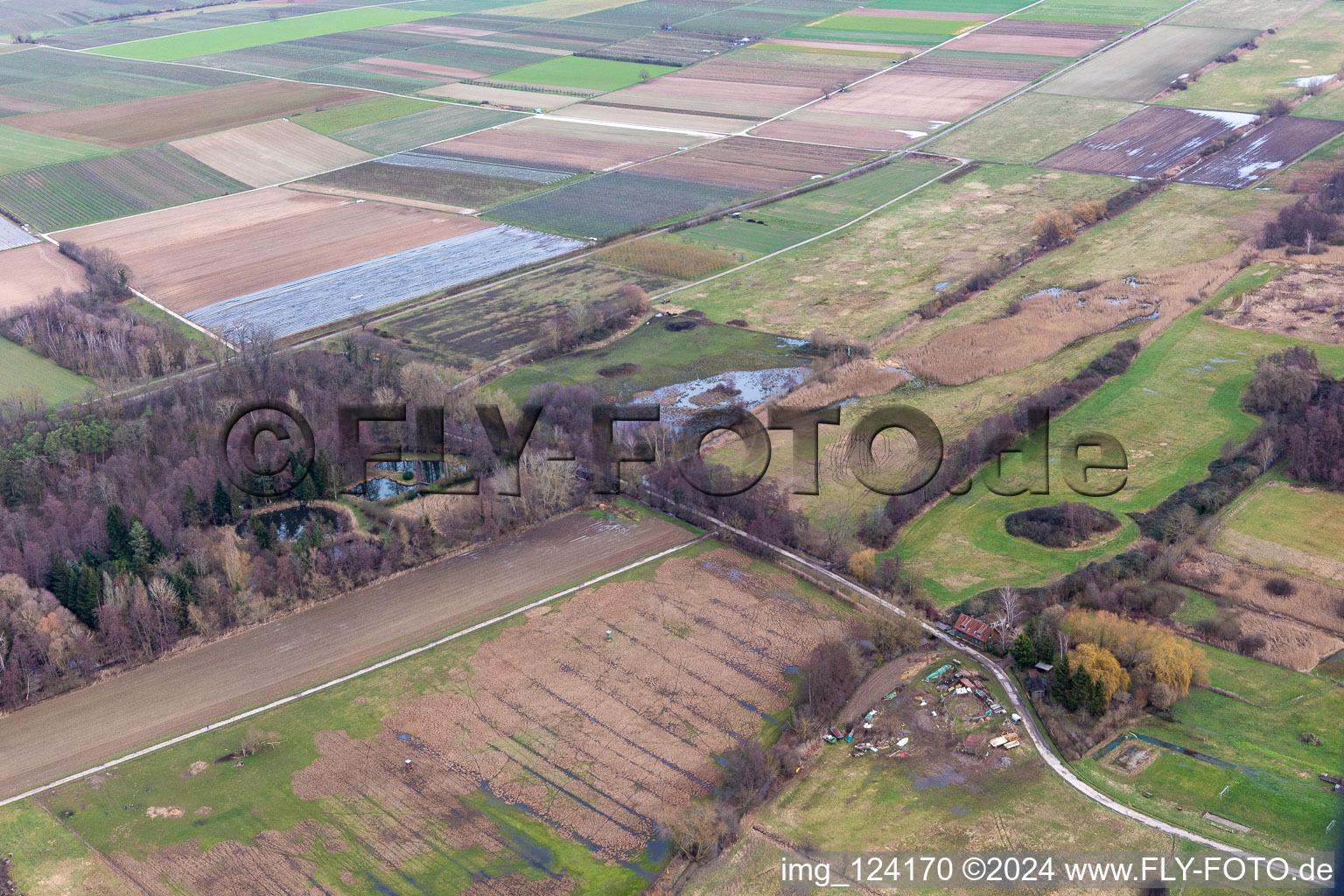 Vue aérienne de Billigheimer Bruch, biotope inondé au Flutgraben/Erlenbach à Barbelroth dans le département Rhénanie-Palatinat, Allemagne