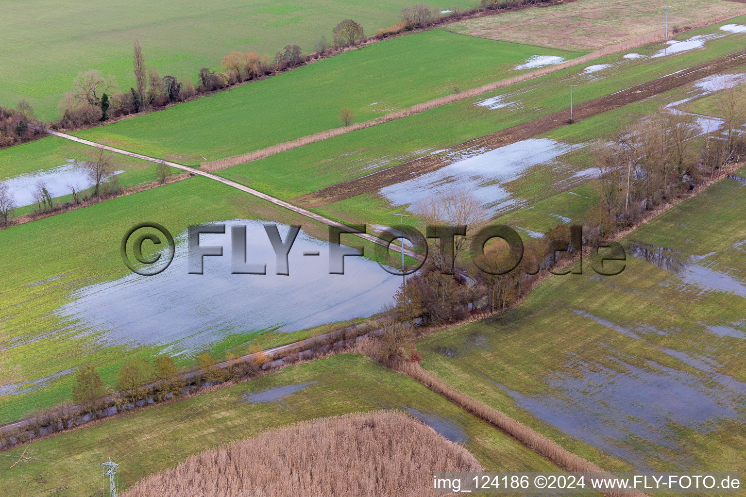 Vue aérienne de Bruchgraben inondé, Buschurgraben, Floodgraben, Erlenbach à Steinweiler dans le département Rhénanie-Palatinat, Allemagne