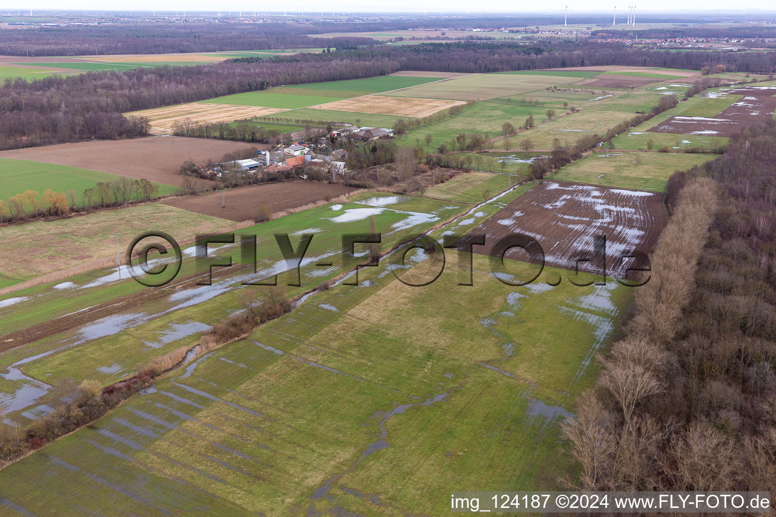 Photographie aérienne de Bruchgraben inondé, Buschurgraben, Floodgraben, Erlenbach à Steinweiler dans le département Rhénanie-Palatinat, Allemagne