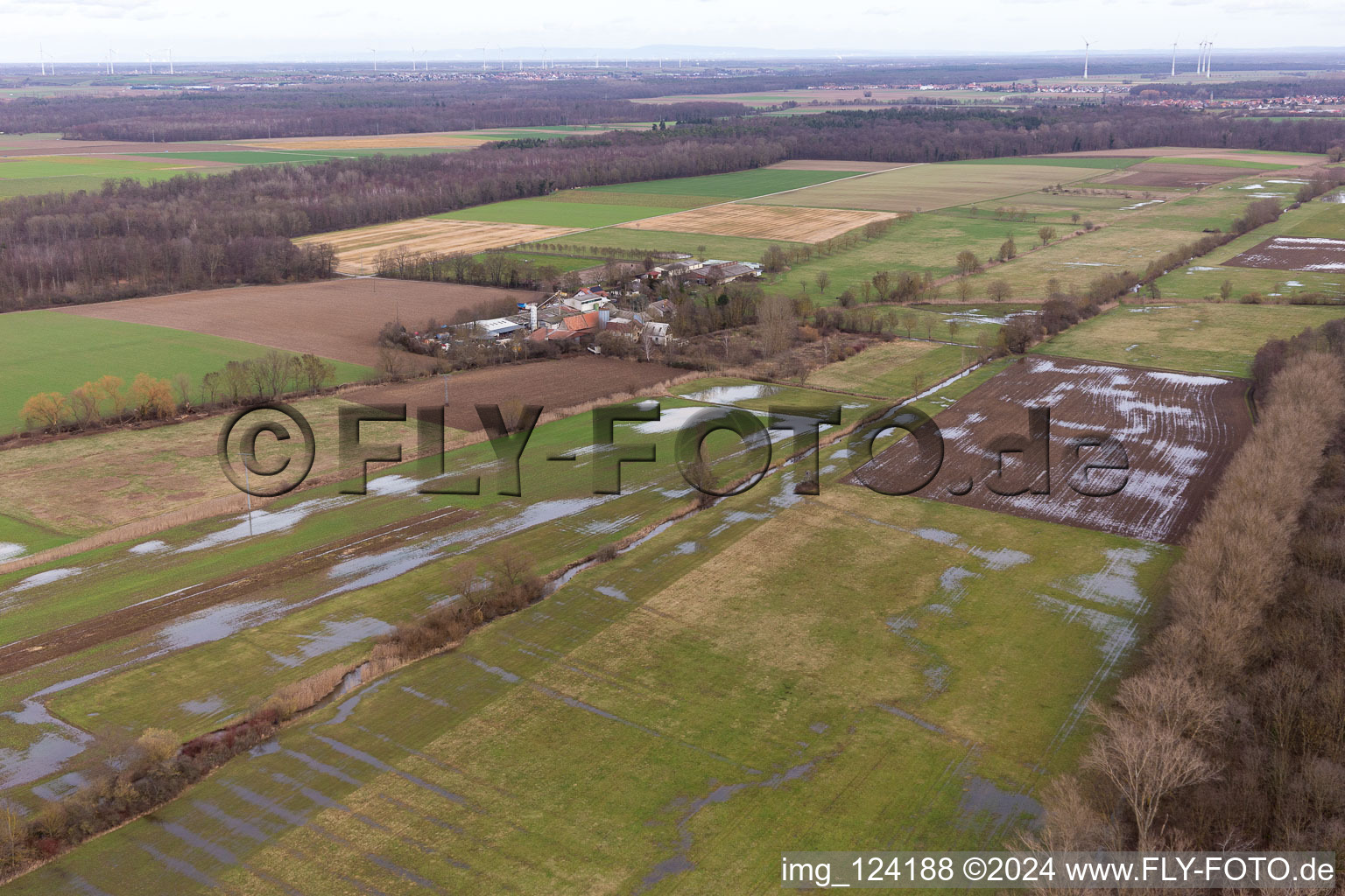 Vue oblique de Bruchgraben inondé, Buschurgraben, Floodgraben, Erlenbach à Steinweiler dans le département Rhénanie-Palatinat, Allemagne